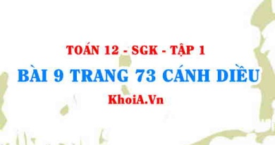 Bài 9 trang 73 Toán 12 tập 1 Cánh Diều